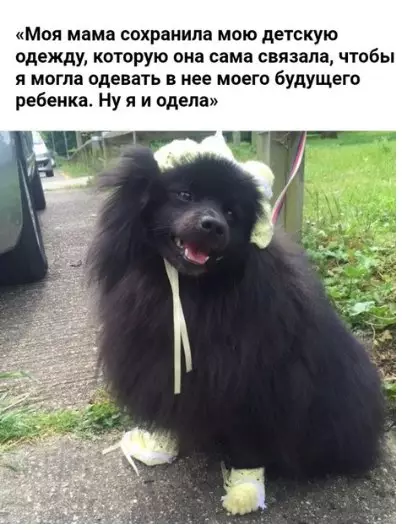 Смешная картинка №266635