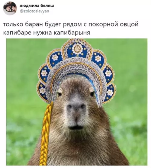 Смешная картинка №541886 А капибарыне капибарин.