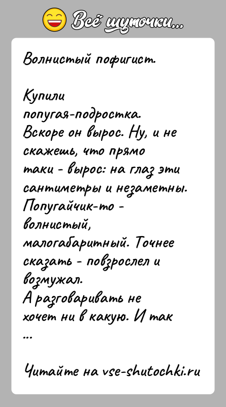 История: Волнистый пофигист.Купили попугая-подростка. Вскоре он вырос. Ну, и не скажешь, что прямотаки - вырос: на глаз эти сантиметры и незаметны.