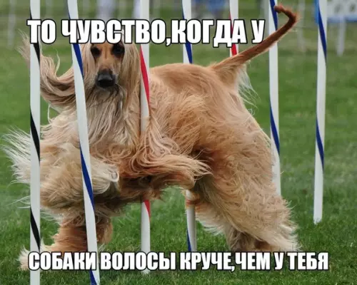 Смешная картинка №283566