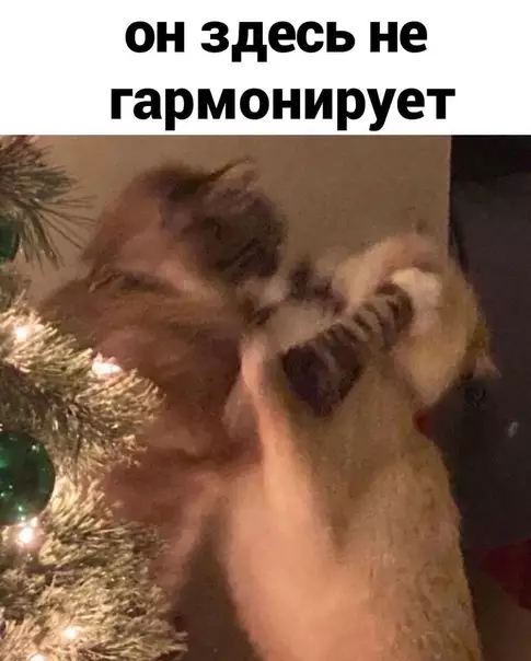 продолжение Смешная картинка №614806 Coвceм cкopo Новый год