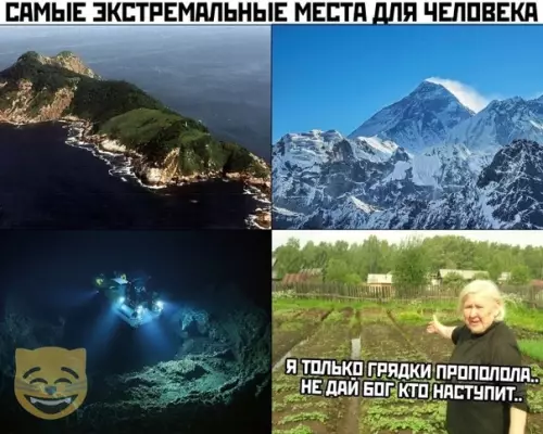 Смешная картинка №356040 #приколы #картинки #мемы ?