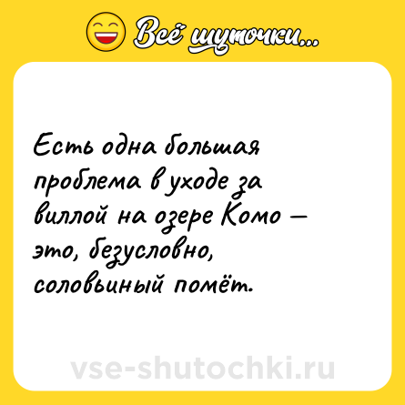 Шутка: Есть одна большая проблема в уходе за виллой на озере Комо — это, безусловно, соловьиный помёт.