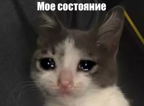 продолжение Смешная картинка №607203 Чисто моё состояние по жизни