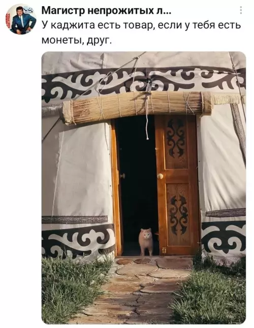Торговец из Skyrim пришел в твой район 🐈💰 - У каджита есть товар, если у тебя есть монеты, друг.