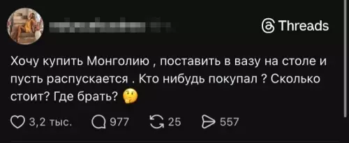 Искусство или шутка?