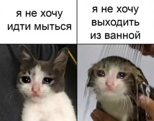 Смешная картинка №739321