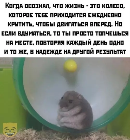 Смешная картинка №358221 #приколы #картинки #мемы ?