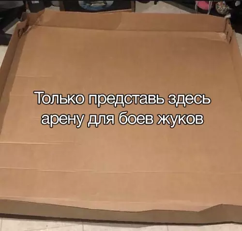 Смешная картинка №713214