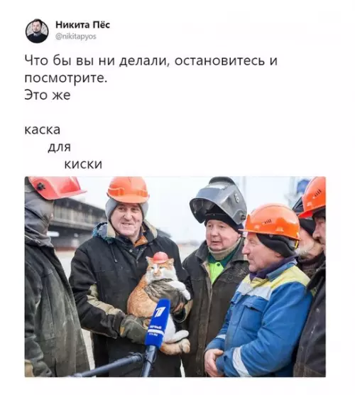 Смешная картинка №335273