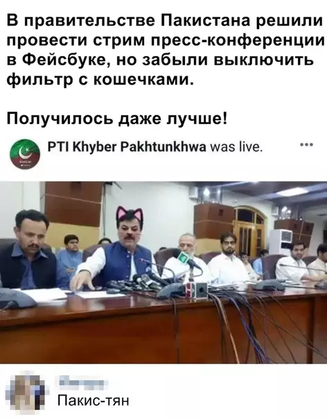 Смешная картинка №363665 кошки