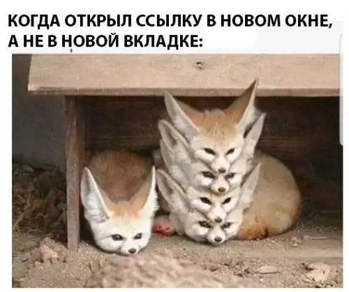 Смешная картинка №296051