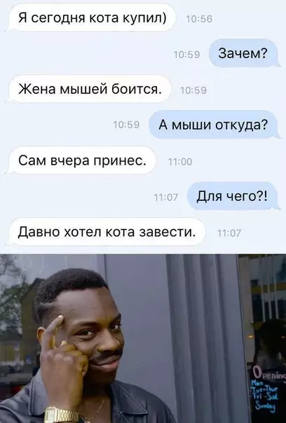Смешная картинка №278867 коты