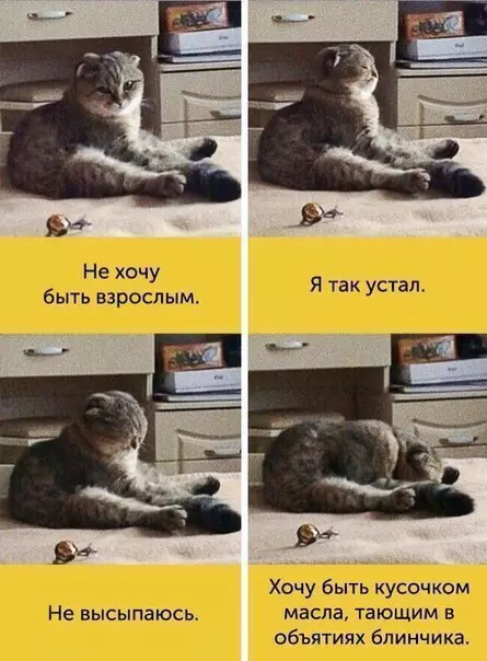 Смешная картинка №209310 Текущее состояние: