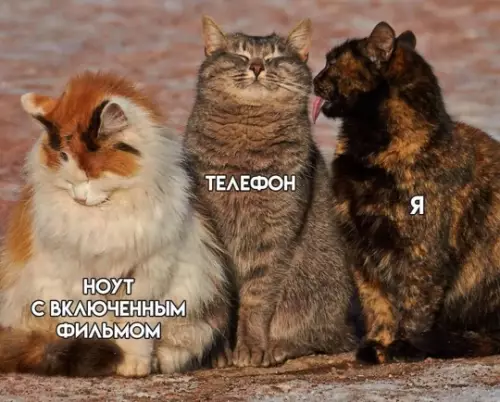 Смешная картинка №774776