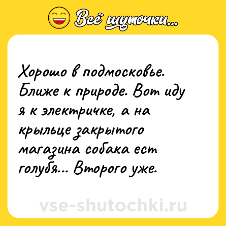Шутка: Хорошо в подмосковье. Ближе к природе. Вот иду я к электричке, а на крыльце закрытого магазина собака ест голубя... Второго уже.