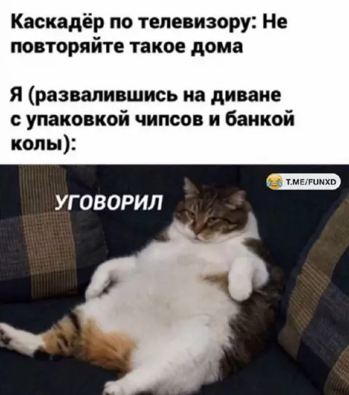 Смешная картинка №661761