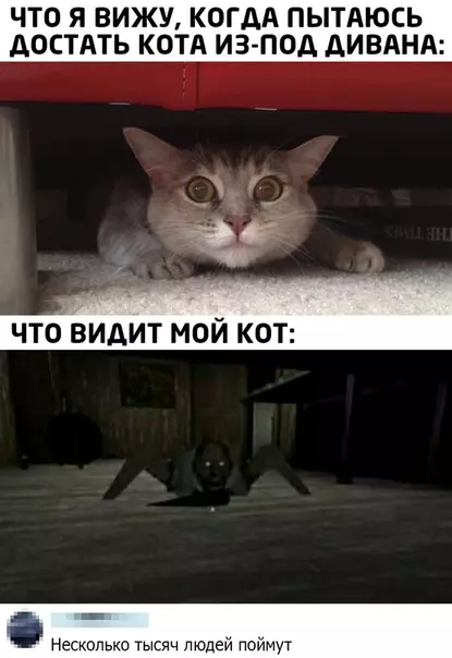 Смешная картинка №481453