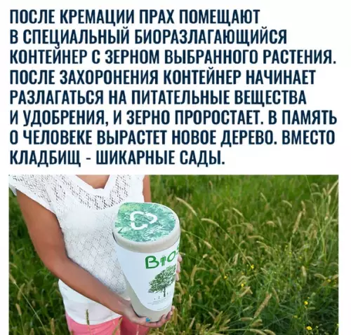 Смешная картинка №327313 Шикарная задумка