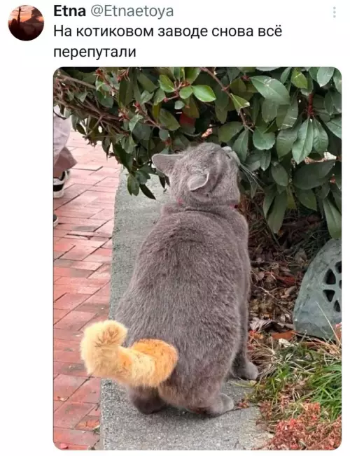 Смешная картинка №810753