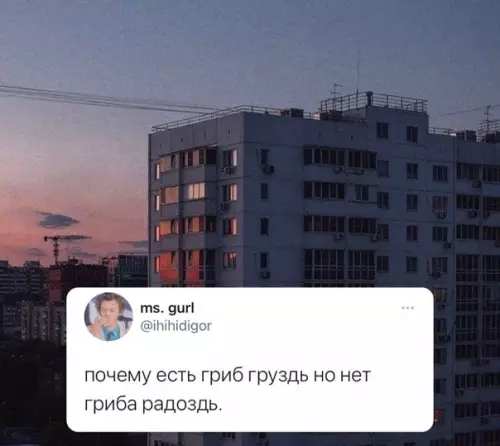 Смешная картинка №559334 Poccия для гpyздныx