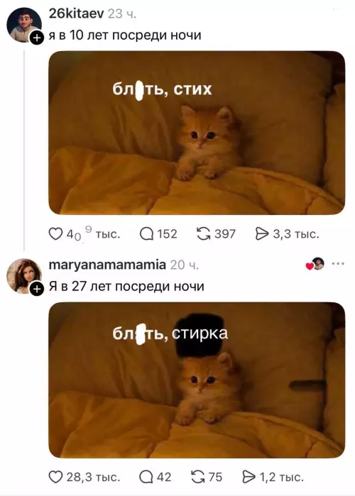 Эволюция ночных мыслей 🐈‍⬛🌙 - я в 10 лет посреди ночи: бл , стих я