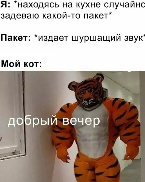 Смешная картинка №535973