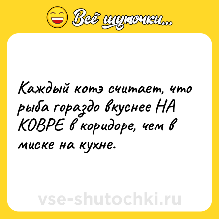 Шутка: Каждый котэ считает, что рыба гораздо вкуснее НА КОВРЕ в коридоре, чем в миске на кухне.