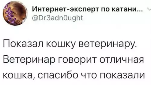 Когда ветеринар оценил кота по фактам 😂🐈 - Показал кошку ветеринару. Ветеринар говорит отличная кошка, спасибо что показали