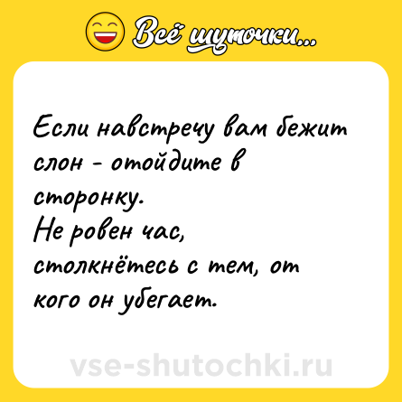 Шутка: Если навстречу вам бежит слон - отойдите в сторонку. <br>Не ровен час, столкнётесь с тем, от кого он убегает.