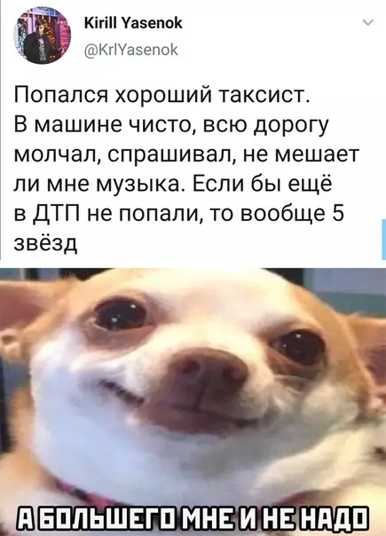 Смешная картинка №532052