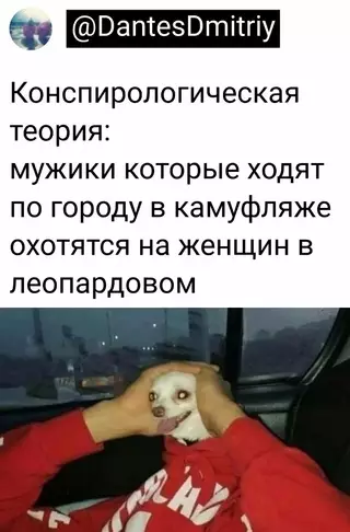 Смешная картинка №654108