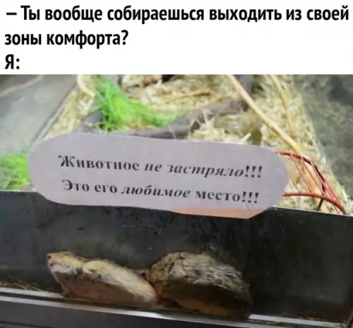 Смешная картинка №473525 Наконец-то нaшёл своё тотемнoе животное