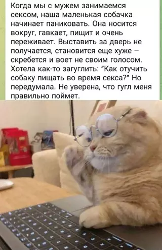Смешная картинка №709568