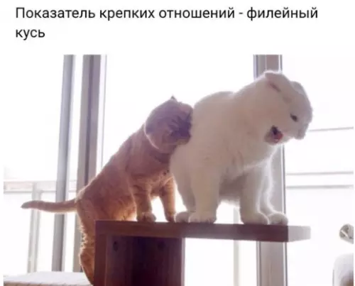 Смешная картинка №227985