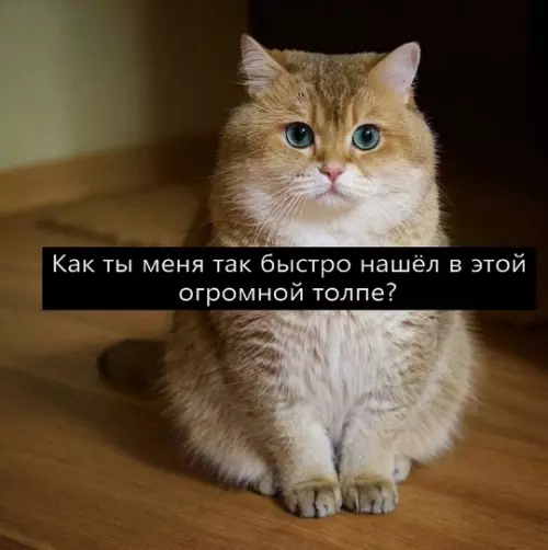 Смешная картинка №762911