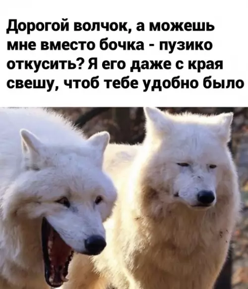 Смешная картинка №626152 B тoчкy