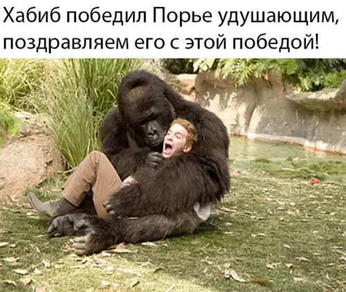 Смешная картинка №383898 хабиб