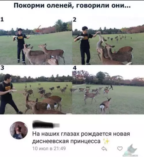 Смешная картинка №319132