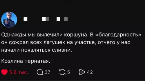 Смешная картинка №821557 Животные