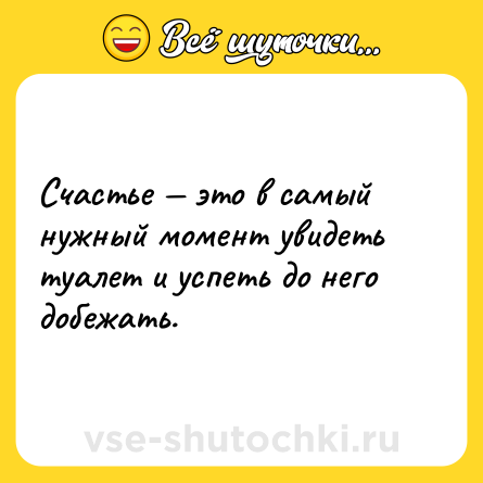 Шутка: Счастье — это в самый нужный момент увидеть туалет и успеть до него добежать.