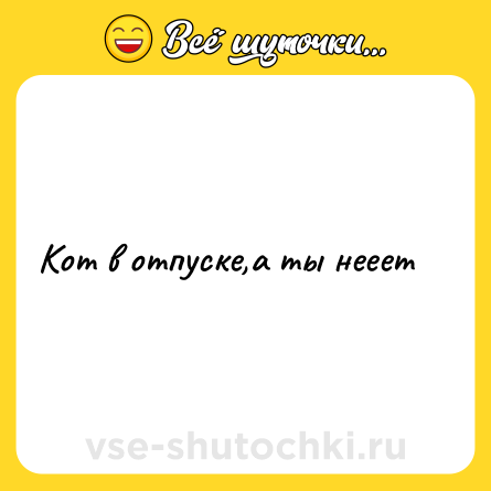Шутка: Кот в отпуске,а ты нееет