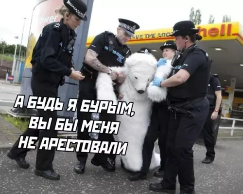 Смешная картинка №499237