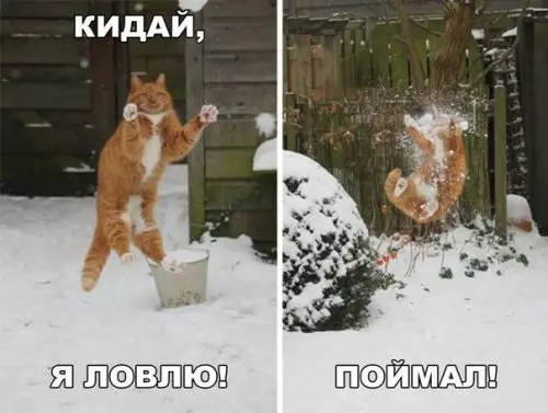 Смешная картинка №308703