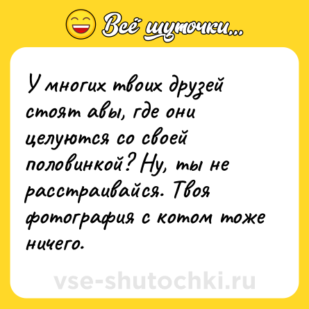 Шутка: У многих твоих друзей стоят авы, где они целуются со своей половинкой? Ну, ты не расстраивайся. Твоя фотография с котом тоже ничего.