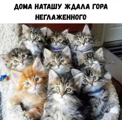 Смешная картинка №775328