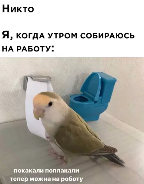 Смешная картинка №614097