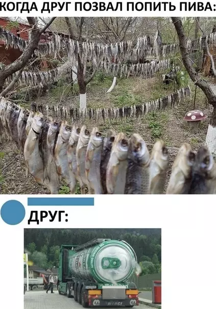 Смешная картинка №493049