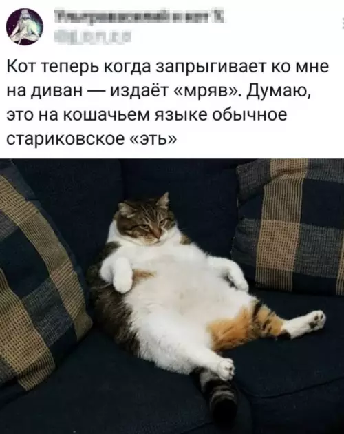 Смешная картинка №797845 Пу-пу-пу