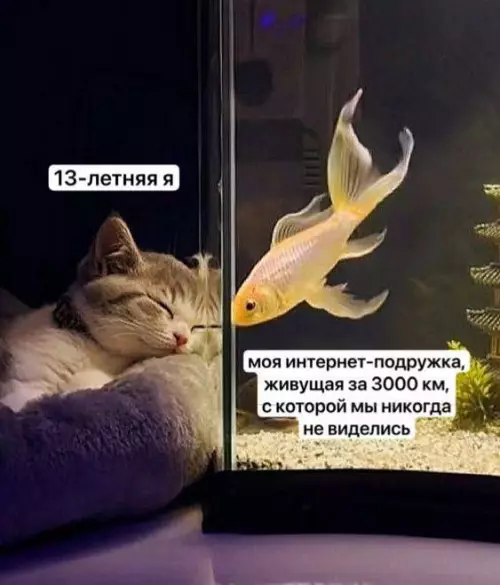 Твоя подружка из интернета 😂🐟 - 13-летняя я моя интернет-подружка, живущая за 3000 км, с которой